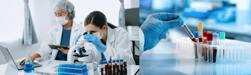 Laboratorio, centro trasfusionale