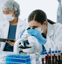 Laboratorio